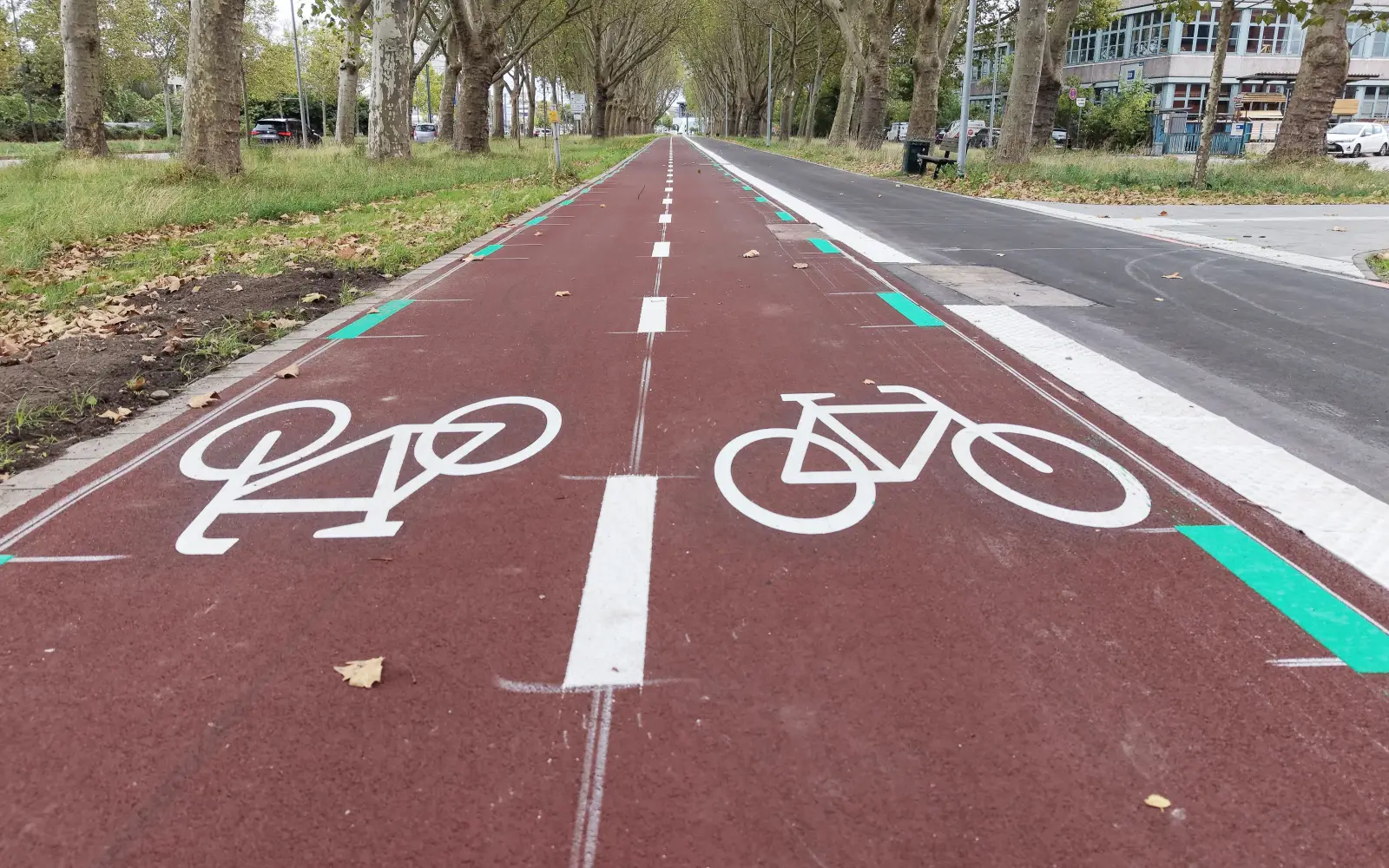 Die Radleitroute 2 führt vom Areal Böhler in Lörick über den Belsenplatz und die Luegallee bis zum Luegplatz und soll im vierten Quartal komplett fertig sein. Das Symbolbild zeigt den roten Belag mit Fahrrad-Piktogrammen auf der Radleitroute 1 an der Völklinger Straße. Foto: Landeshauptstadt Düsseldorf/David Young