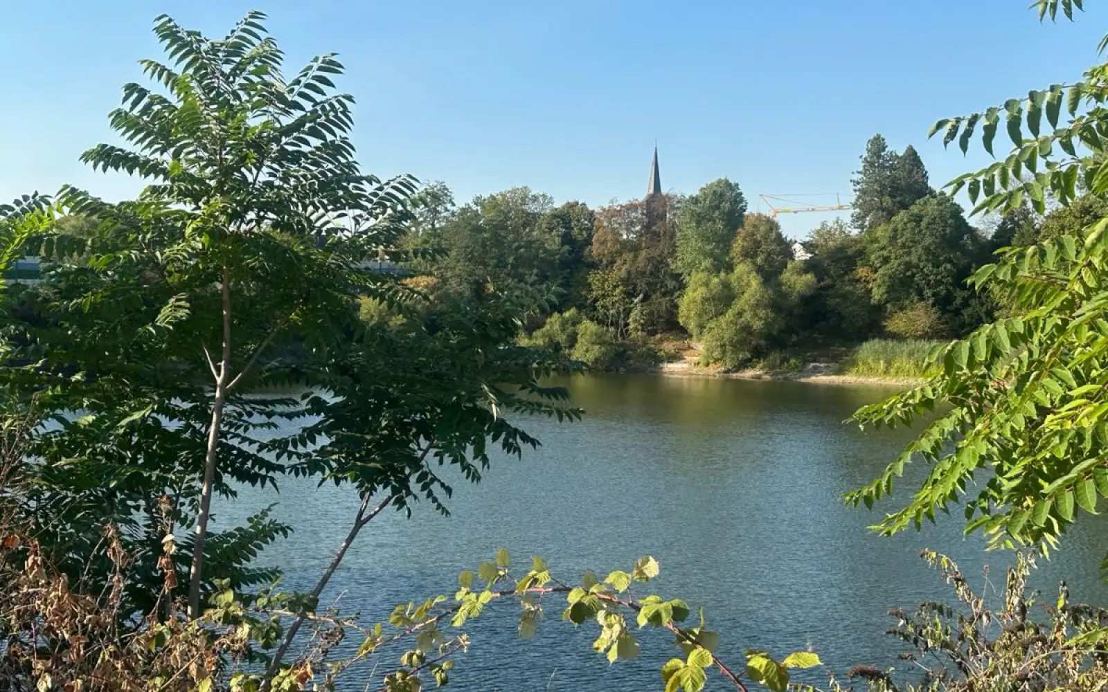 Der Albertussee in Heerdt ist aus dem Baggerloch einer Zementwarenfabrik entstanden und heute ein ruhiger, grüner Rückzugsort mit Spazierwegen und Bänken. Foto: Karo Haller