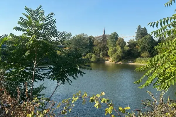 Der Albertussee in Heerdt lädt zur grünen Auszeit ein